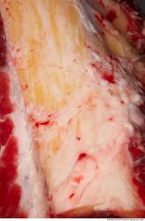 Photo Textures of RAW Pork Meat